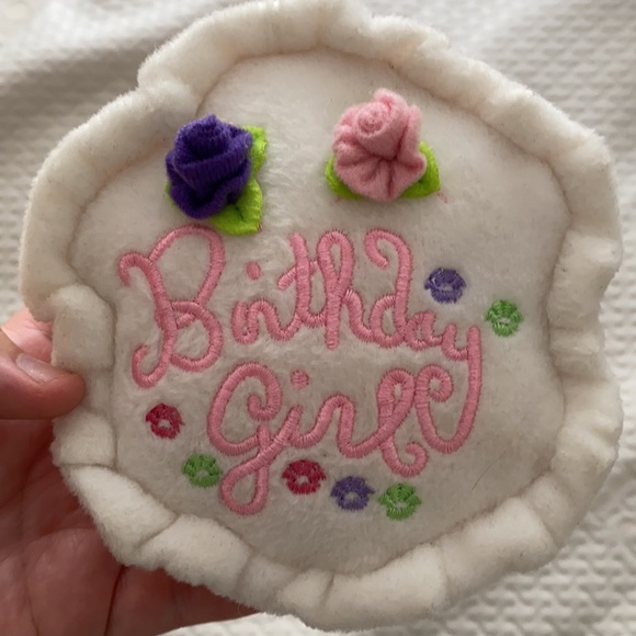 BIRTHDAY CAKE GIRL DOG TOY NWOT - Picture 3 of 5